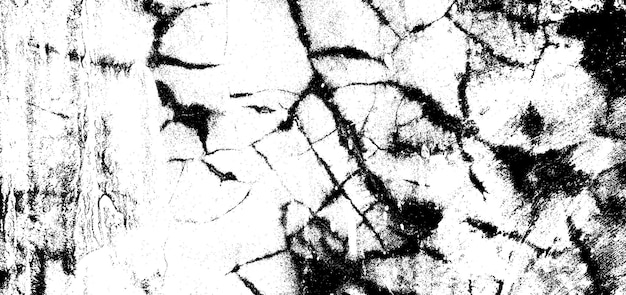 Fondo de grunge de textura de cemento blanco y negro