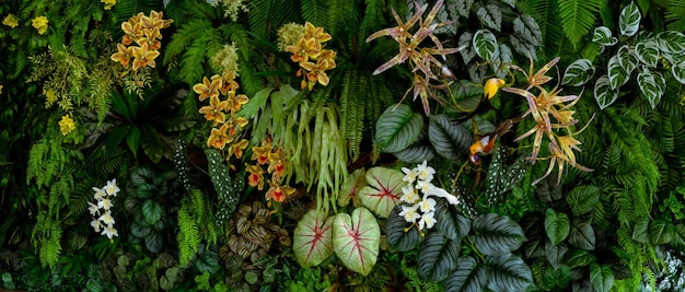 Fondo de grupo de hojas tropicales verde oscuro