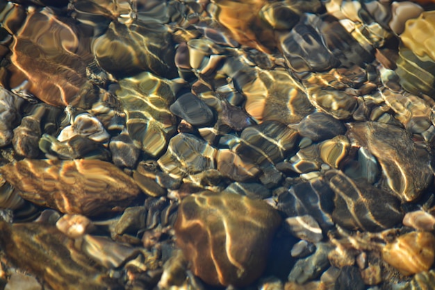 Fondo de guijarros brillantes en el fondo del río