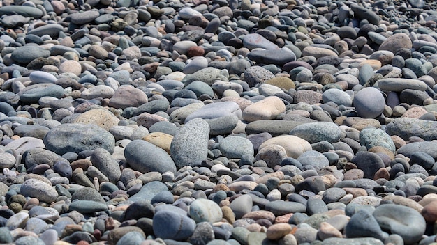 Fondo de guijarros. Fondo de piedras de mar. Patrón de forma abstracta de la naturaleza.