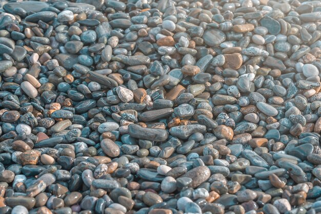 Fondo de guijarros de verano en la orilla del mar