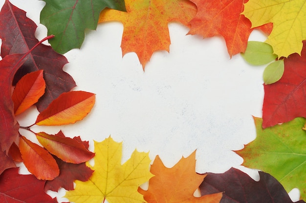 Fondo de guirnalda de marco de hojas de otoño.