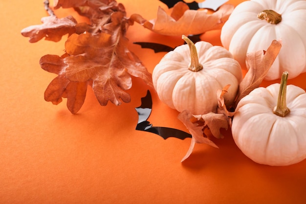 Fondo de Halloween Bandada de murciélagos negros araña calabaza y hojas para Halloween Siluetas de murciélagos de papel negro sobre fondo naranja Decoración de otoño Concepto de Halloween Vista superior