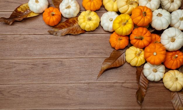 Fondo de Halloween con calabazas.