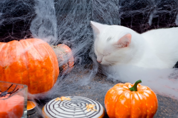 Fondo de Halloween con pan de jengibre, calabazas y velas