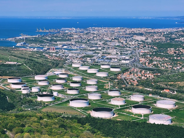 Fondo de hermoso jardín verde con viejos olivos en la costa del Adriático en primavera.