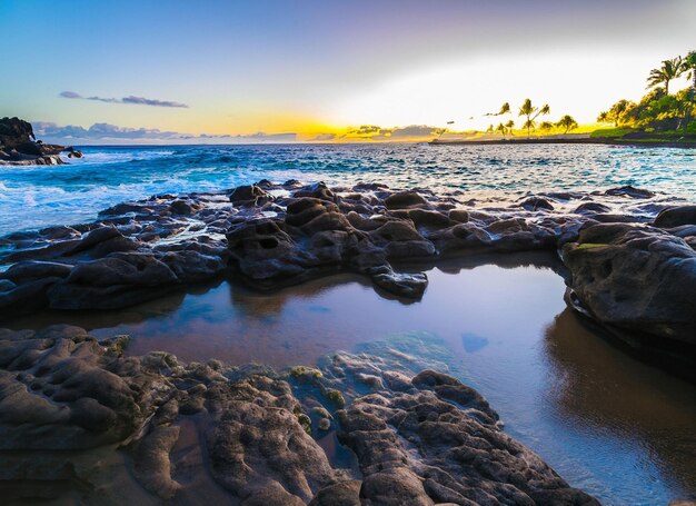 Foto fondo hermoso de la naturaleza