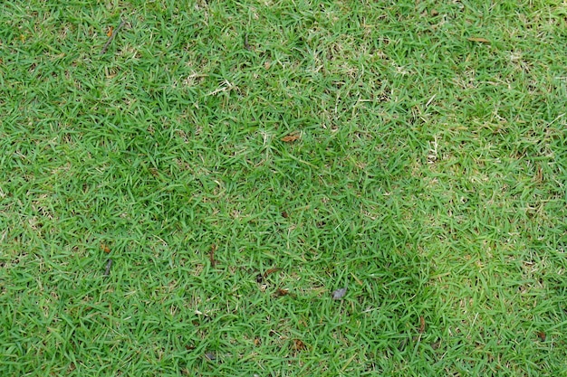 fondo de hierba verde en el campo de fútbol