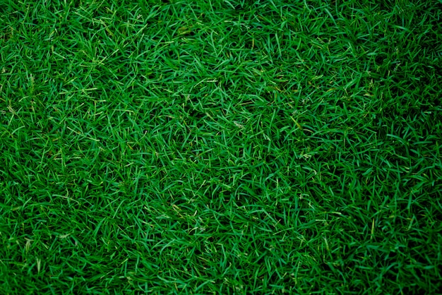 Foto fondo de hierba verde, campo de fútbol