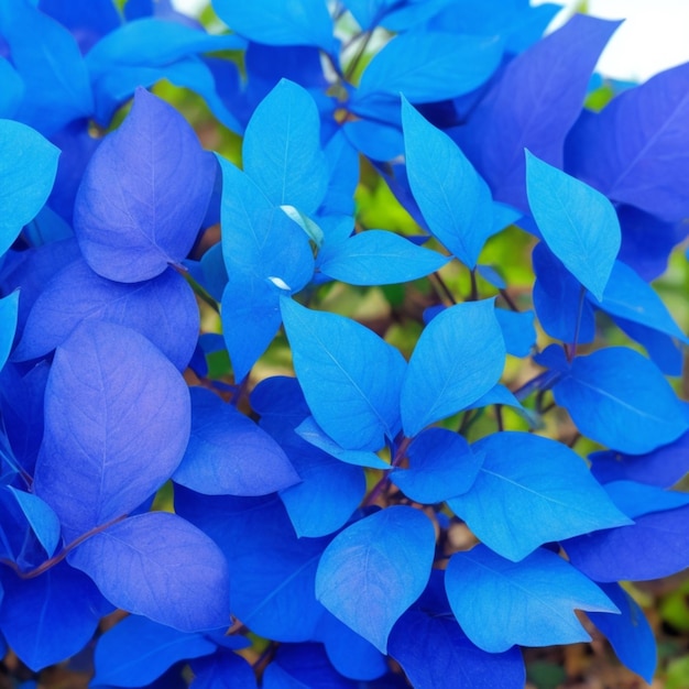 fondo de hojas azules