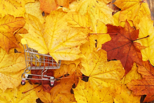 Fondo de hojas de otoño con carrito de compras concepto de descuento y venta de otoño