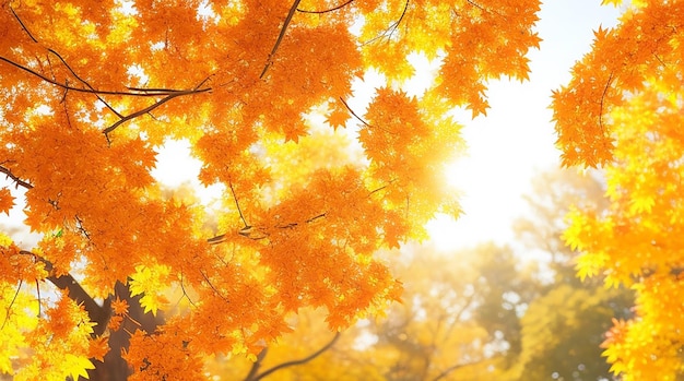 Fondo de hojas de otoño en un día soleado