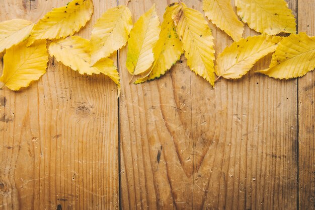 Fondo de hojas de otoño en la mesa de madera