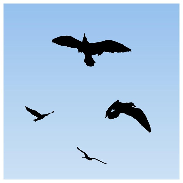 Foto fondo de la imagen silueta de aves voladoras gaviotas cielo azul