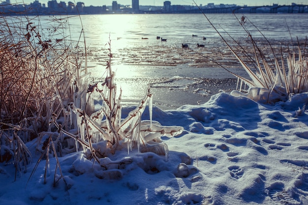 Fondo de invierno con carámbanos y espacio vacío.