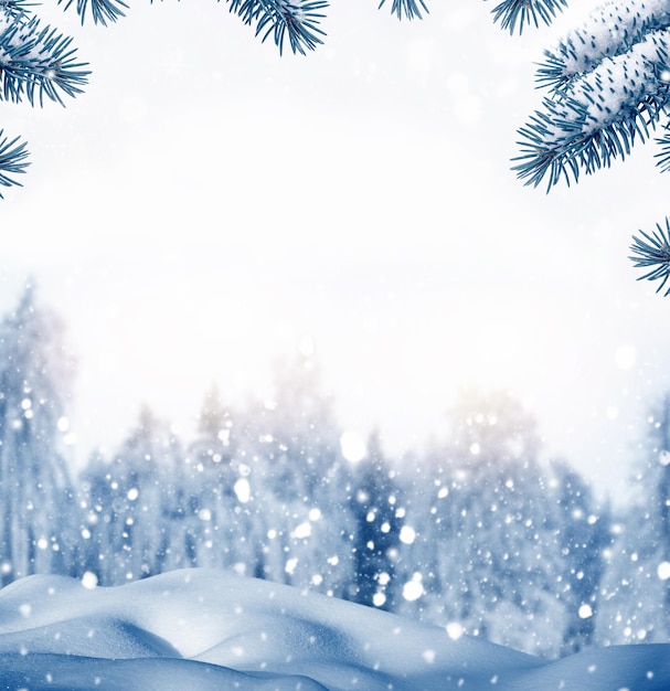 Fondo de invierno de Navidad con nieve y bokeh borrosoFeliz Navidad y feliz año nuevo tarjeta de felicitación Bosque de invierno congelado con árboles cubiertos de nieve al aire libre
