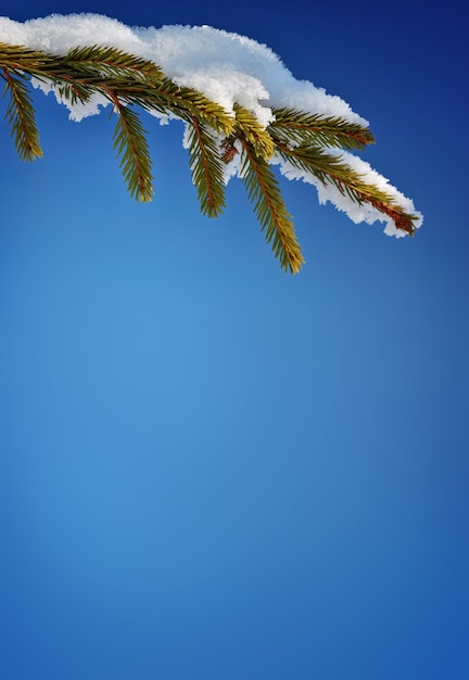 Fondo de invierno sobre un tema de Navidad y año nuevo