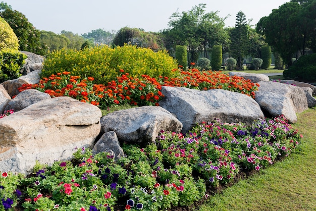 Fondo de jardín de flores