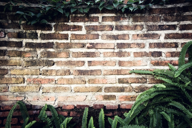 Fondo de ladrillo antiguo decorativo en casa