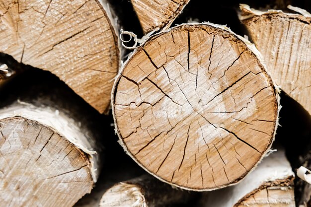 Fondo de leña Troncos de madera secos picados Textura natural