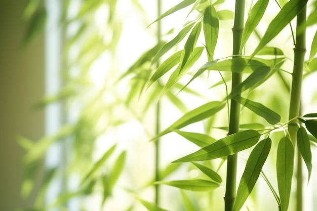 Un fondo ligero de bambú con colores verdes vibrantes que reflejan un animado estado de ánimo de primavera