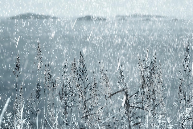 fondo de lluvia / texturas de fondo otoñal de lluvia en el campo con hierba seca, caminar con mal tiempo ventoso, fondo borroso de mal tiempo