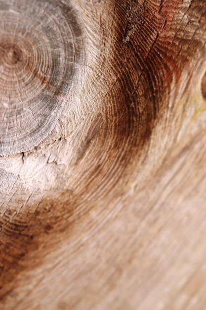 Fondo con lugar de textura de madera para texto