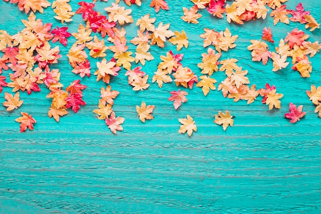 Foto fondo de madera azul con hojas de otoño