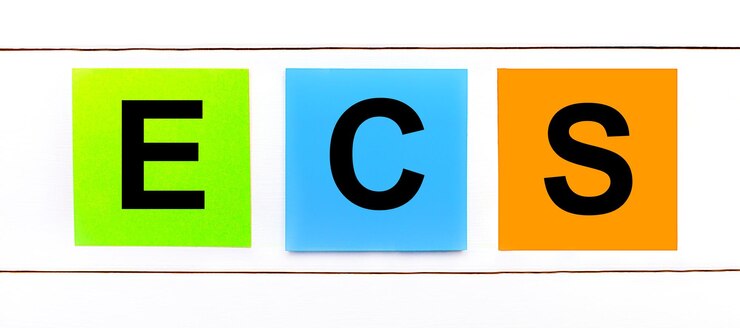 Foto en un fondo de madera blanca hay tres etiquetas engomadas brillantes coloridas con el texto ecs electronic clearing service