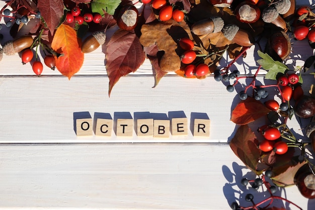 Foto fondo de madera blanca con marco de hojas de otoño y texto