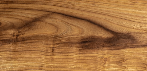 Foto fondo de madera de cercis siliquastrum