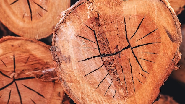 El fondo de la madera cortada revela el patrón y los detalles o la textura de la madera en el núcleo de madera