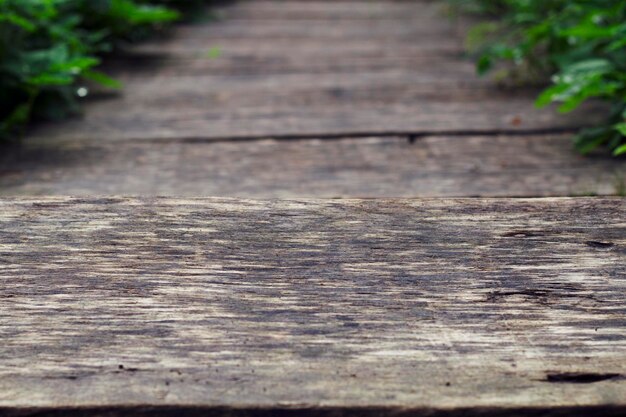 Fondo de madera desgastada con hierbas y hojas verdes