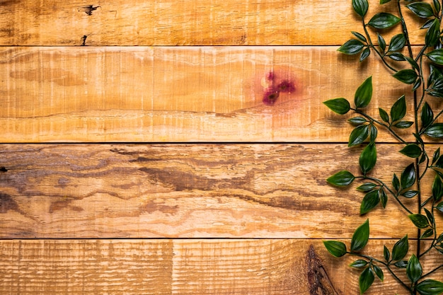 Fondo de madera con hojas y espacio de copia