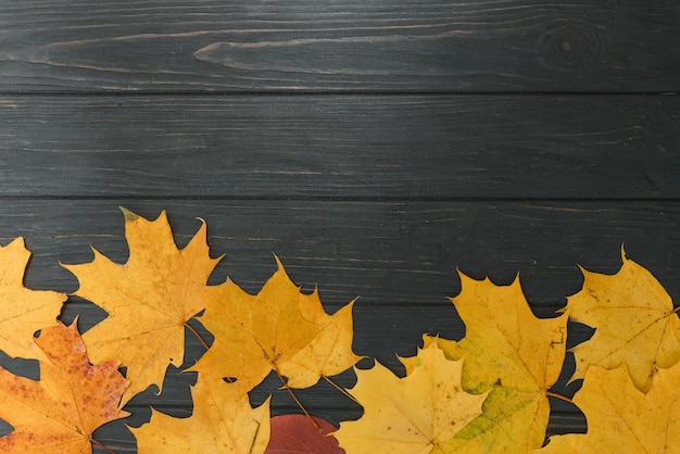 Fondo de madera con hojas de otoño amarillo