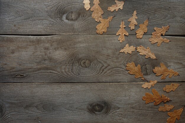 Fondo de madera, hojas de roble, textura de madera