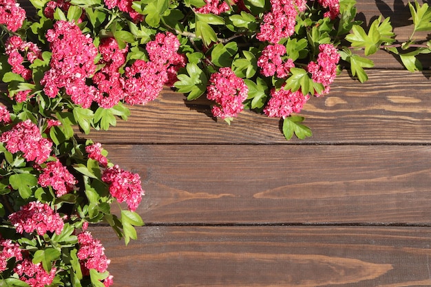 fondo de madera marrón con marco de flores rosas