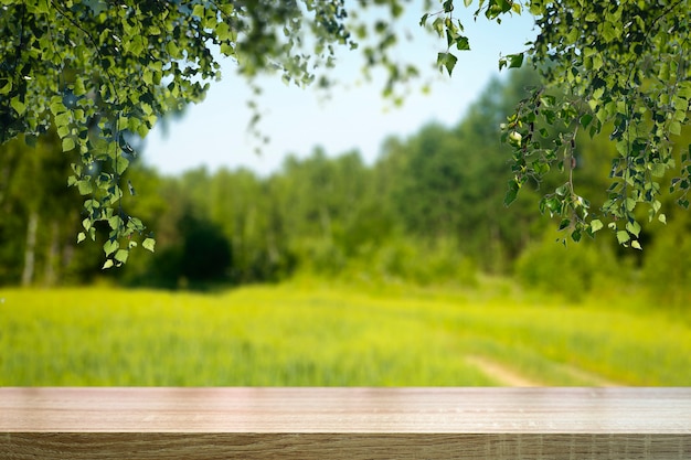 Fondo de madera de mesa en bosque. Fondo de un bosque de verano verde borrosa con luz solar. Foto de alta calidad