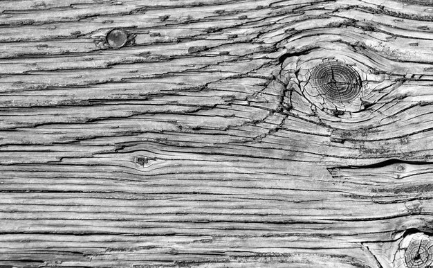 Fondo de madera con nadie textura fondo de madera textura de madera de telón de fondo