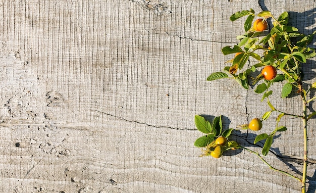 Fondo de madera natural con lugar para texto y conos escandinavos y otras cosas