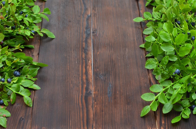 Fondo de madera natural oscura con ramitas de arándanos y espacio para objetos