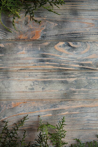 Fondo de madera natural de textura rugosa con decoración de ramas de enebro verde. telón de fondo minimalista botánico con copyspace.