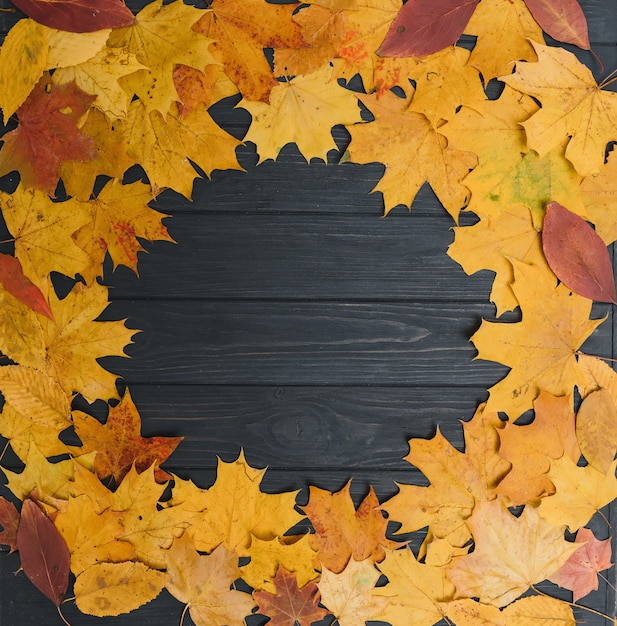 Fondo de madera oscura con hojas amarillas de otoño