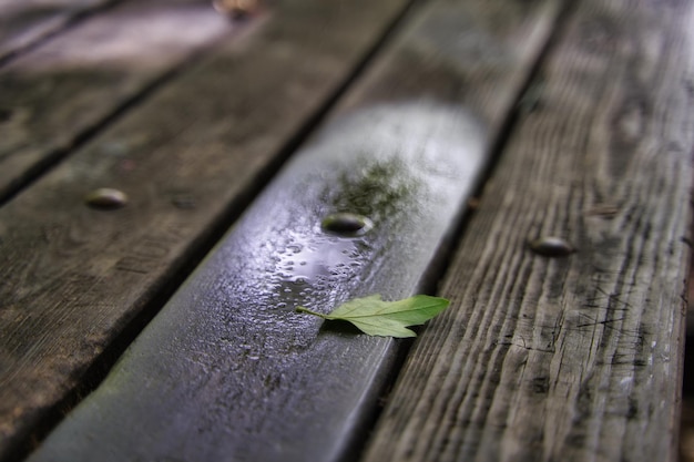 Fondo de madera de otoño con hojas