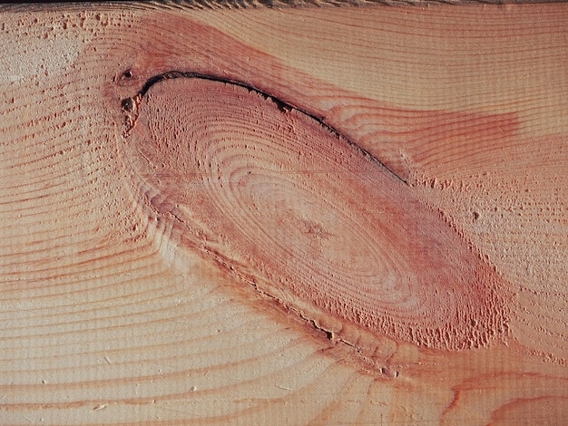 Fondo de madera de pino