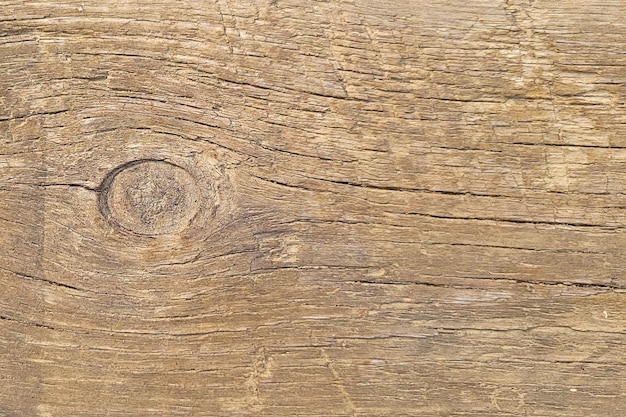 Fondo de madera textura de madera
