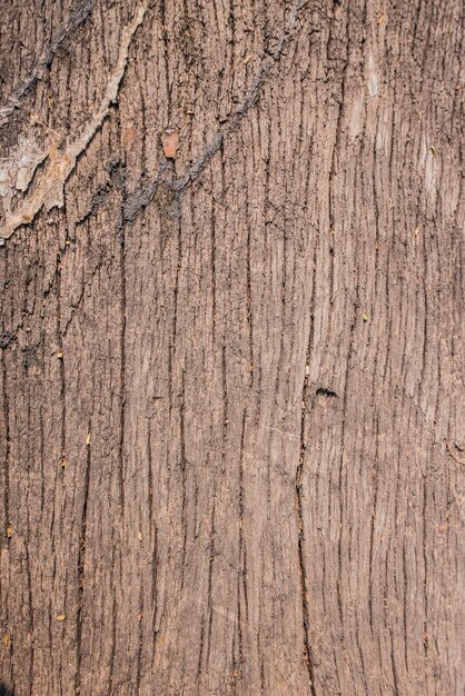 Fondo de madera y textura natural, papel tapiz.