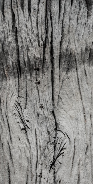 Fondo de madera y textura natural, papel tapiz.