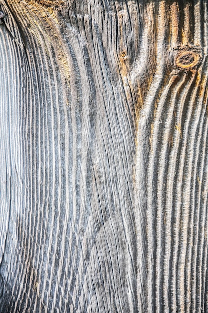 Fondo de madera. Textura rústica al aire libre.