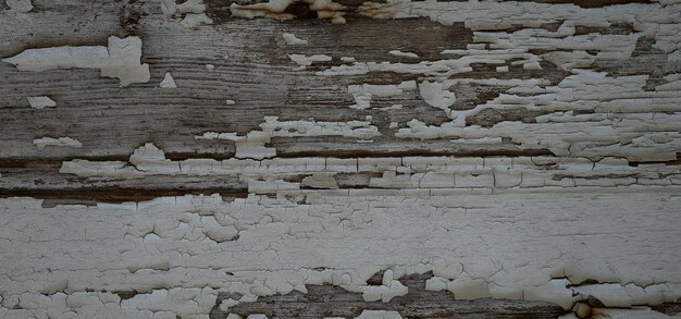 fondo de madera con textura vintage